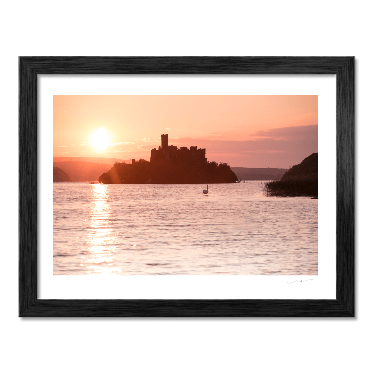 mcdermotts-castle-lough-key-sunset-swan PM