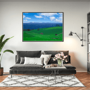 meath-rolling-green-hills-sheep-grazing BFW