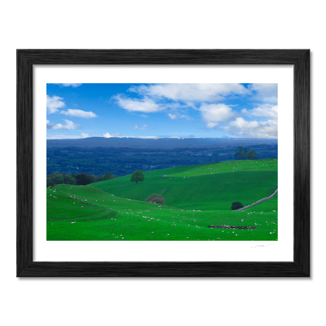 meath-rolling-green-hills-sheep-grazing PM