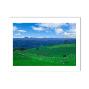 meath-rolling-green-hills-sheep-grazing PM