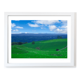 meath-rolling-green-hills-sheep-grazing WF