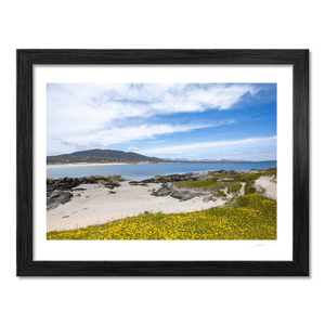 mellow-yellow-gurteen-beach-roundstone BF