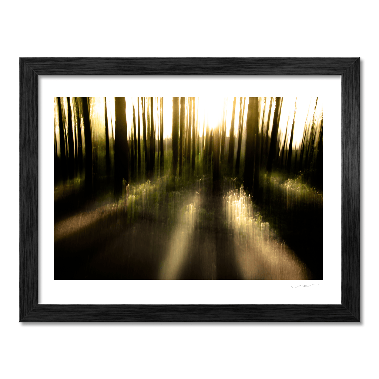 Nua Photography Print Misty Woodland Sunlight Abstract, Co. Down Misty Woodland Sunlight Abstract Co. Down Print | Nua Photography