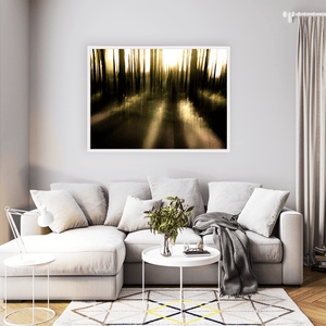 Misty Woodland Sunlight Abstract, Co. Down fine art photography print by Nua Photography