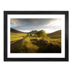 mourne-mountains-country-road-golden-light BF