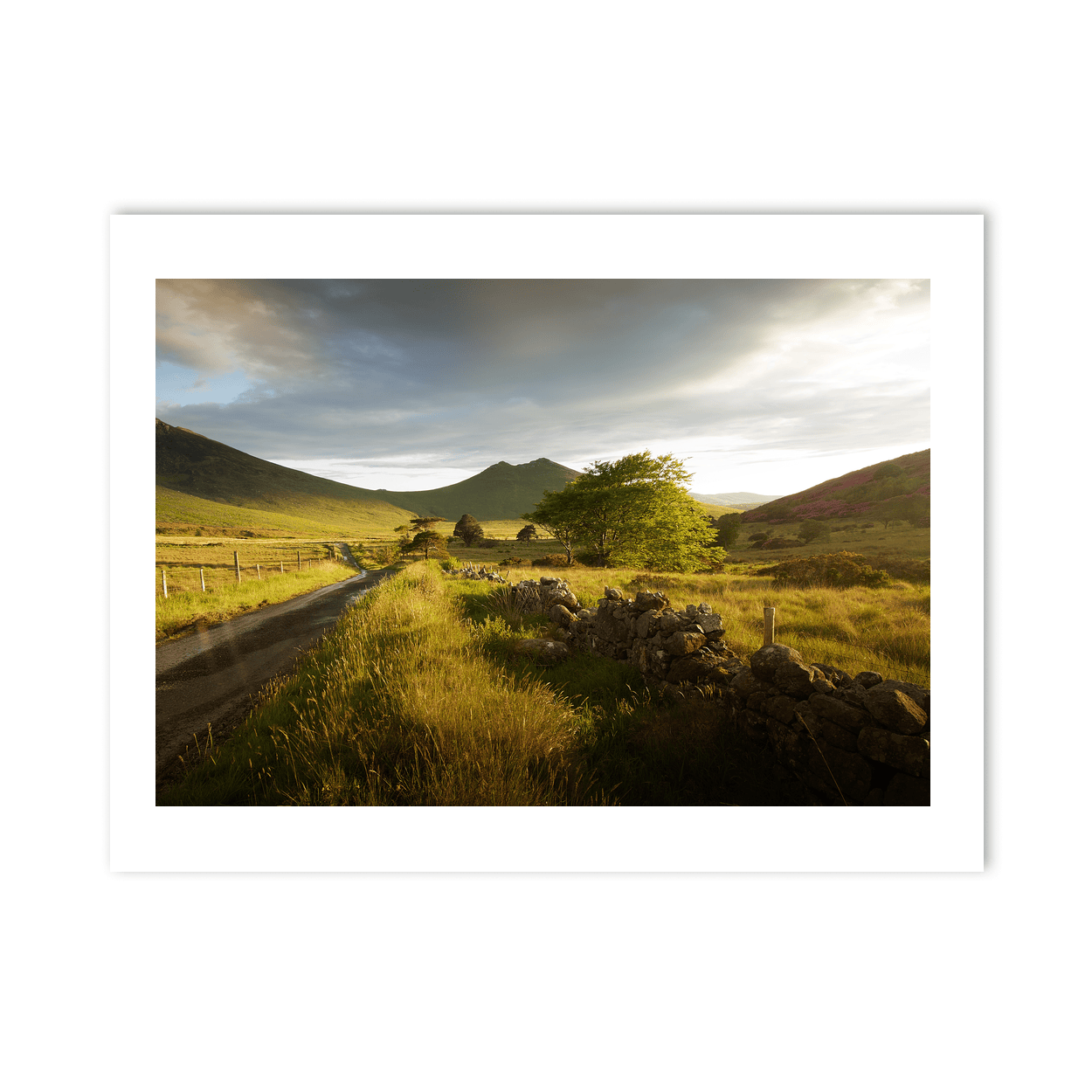 mourne-mountains-country-road-golden-light PM