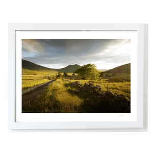 mourne-mountains-country-road-golden-light WF