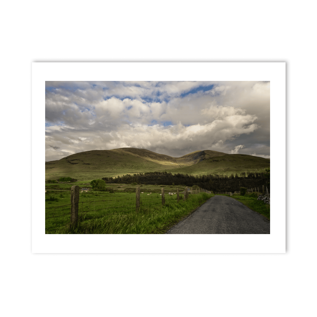 mourne-mountains-country-road-sheep-grazing PM
