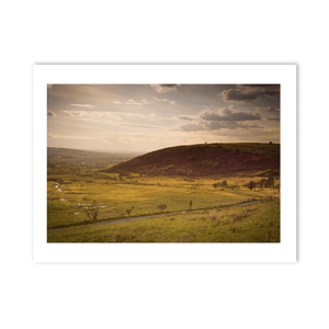 mourne-mountains-heather-golden-hour-valley PM