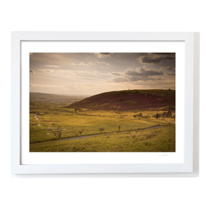mourne-mountains-heather-golden-hour-valley WF