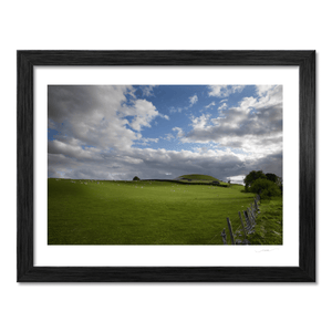 newgrange-passage-tomb-sheep-grazing-summer BF