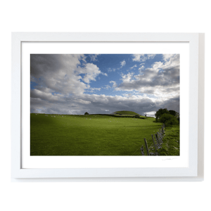 newgrange-passage-tomb-sheep-grazing-summer WF