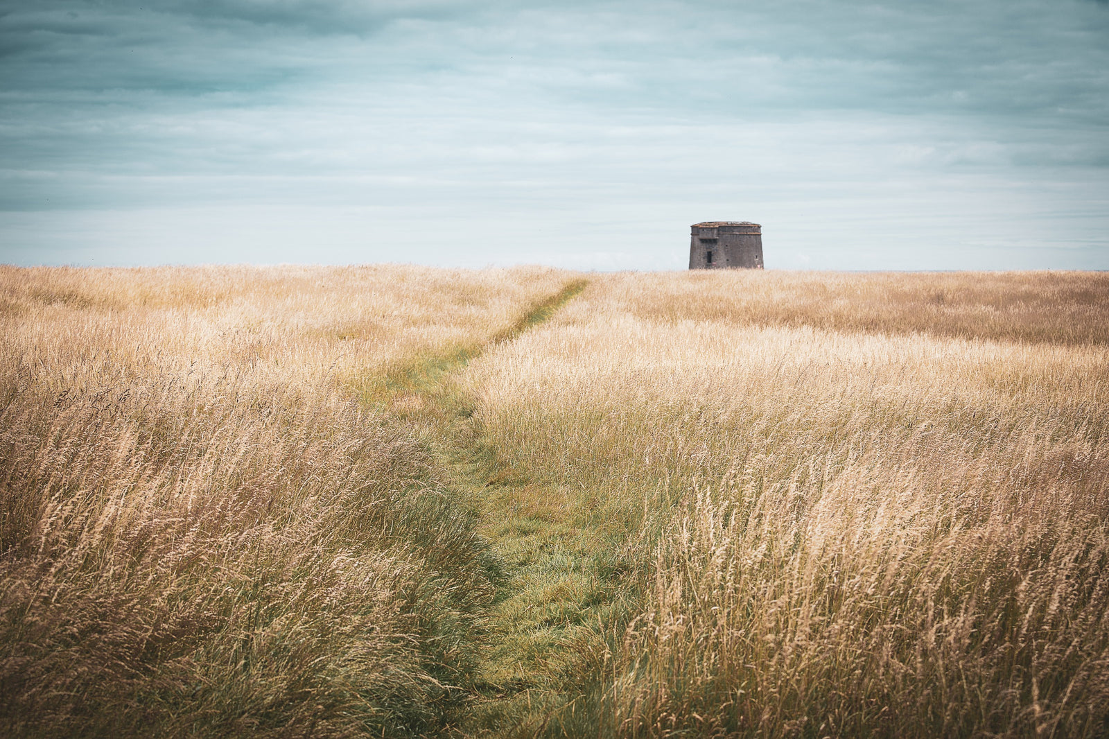 Path to Drumanagh, limited 20 x 16 inch Nua Photography print