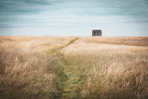 Path to Drumanagh, limited 20 x 16 inch Nua Photography print