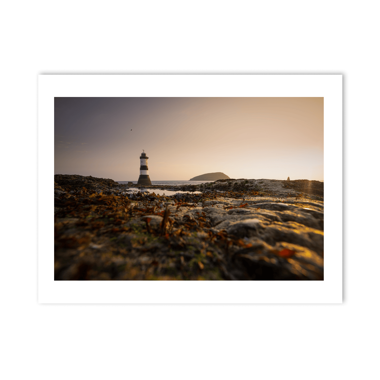 Nua Photography Print Penmon Lighthouse at Golden Hour with Puffin Island, Anglesey, Wales Penmon Lighthouse Golden Hour Puffin Island Print | Nua Photography