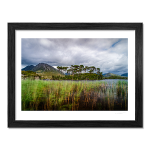 pine-island-derryclare-lough-moody-skies BF