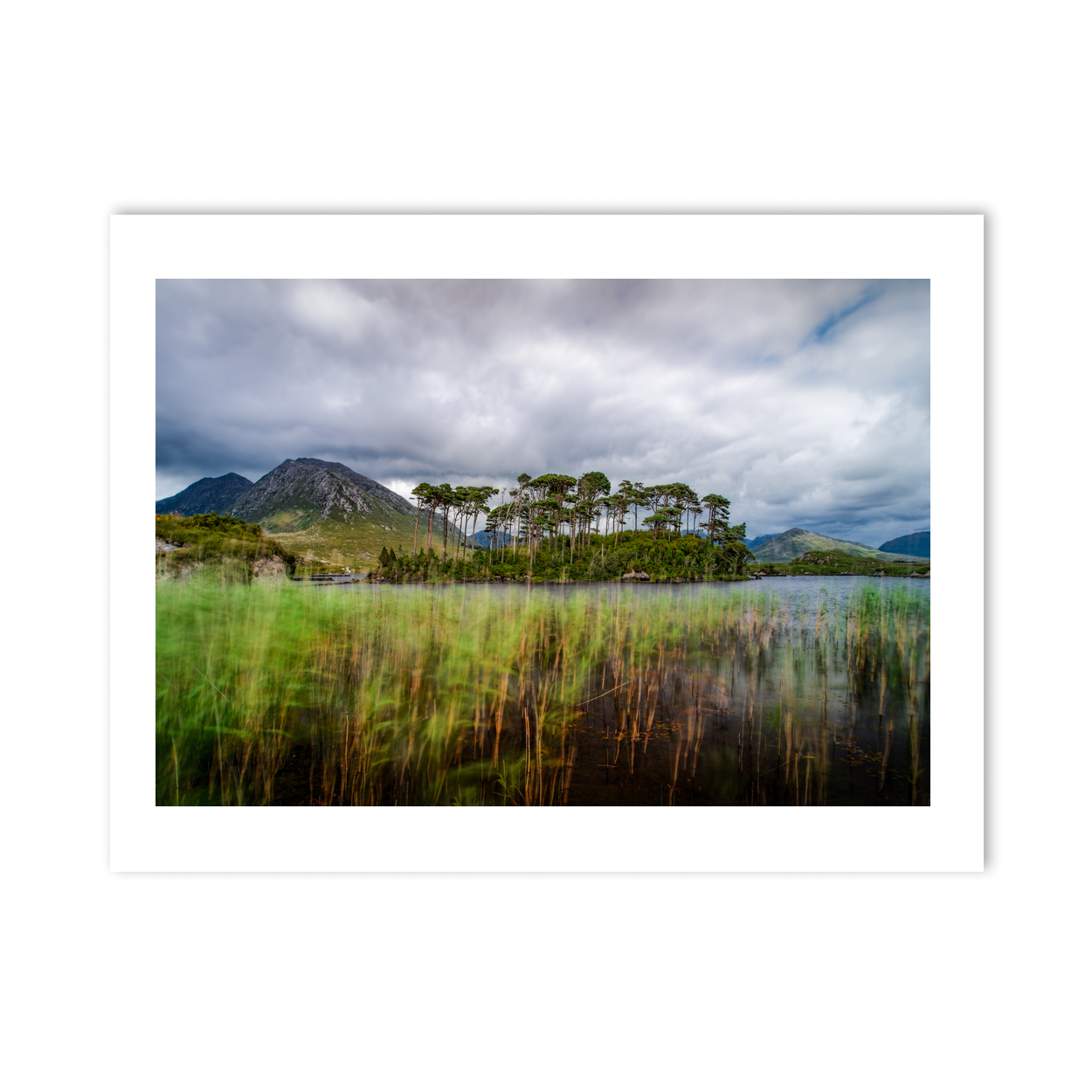 pine-island-derryclare-lough-moody-skies PM