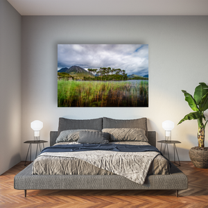 pine-island-derryclare-lough-moody-skies Pano