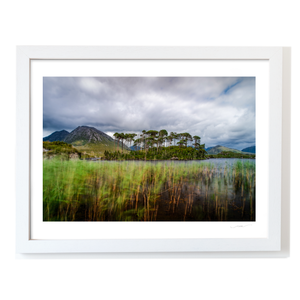 pine-island-derryclare-lough-moody-skies WF