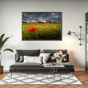 poppy-field-stormy-sky-country-house BFW