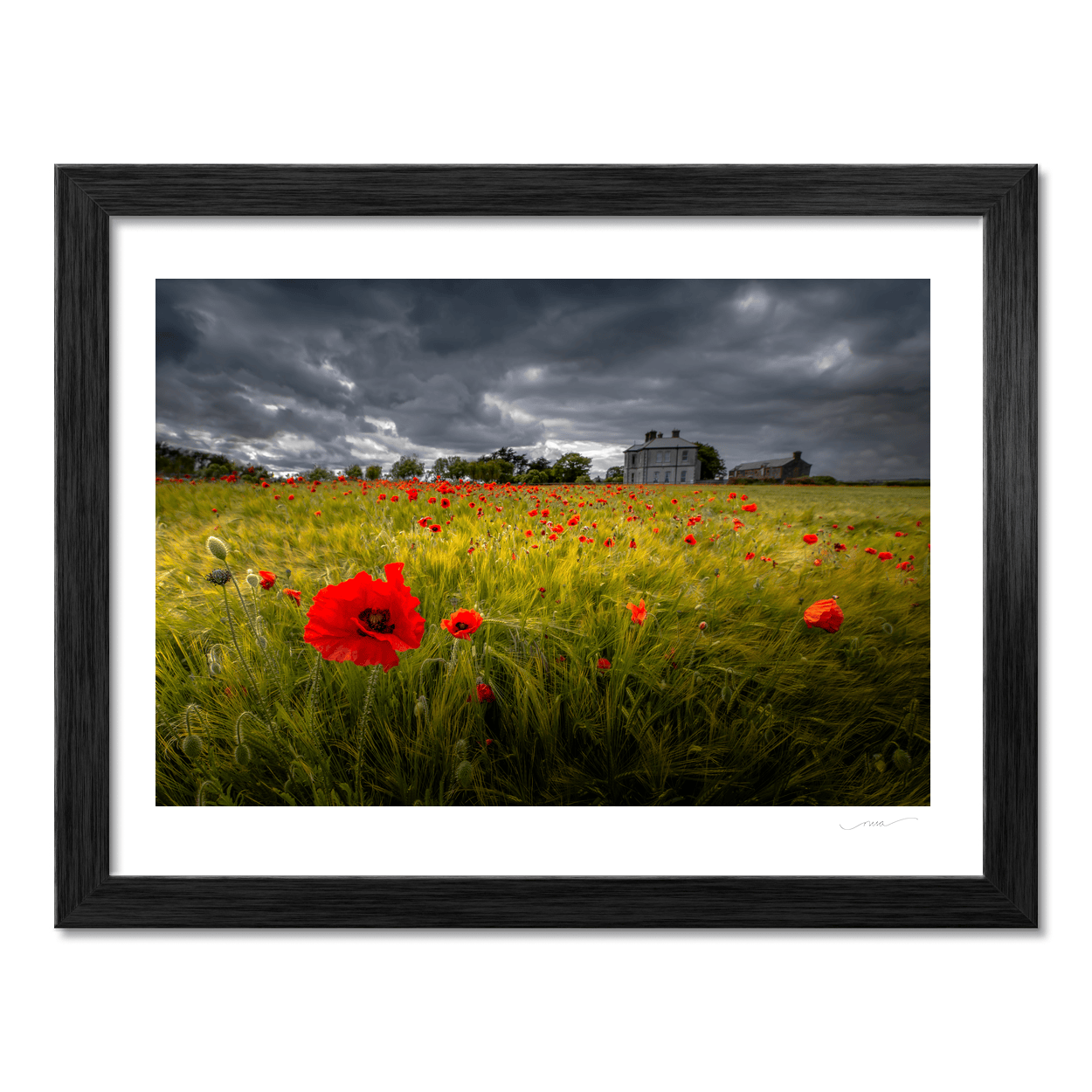 poppy-field-stormy-sky-country-house PM
