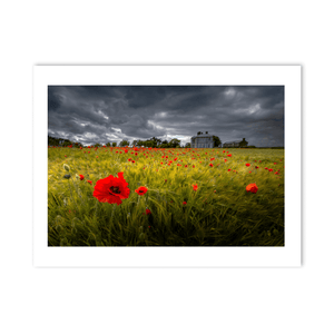 poppy-field-stormy-sky-country-house PM