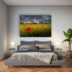 poppy-field-stormy-sky-country-house Pano