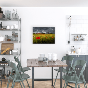 poppy-field-stormy-sky-country-house WFA3
