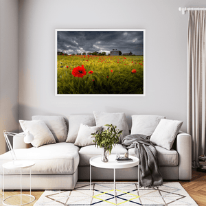 poppy-field-stormy-sky-country-house WFW