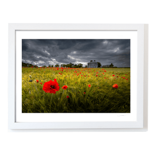 poppy-field-stormy-sky-country-house WF