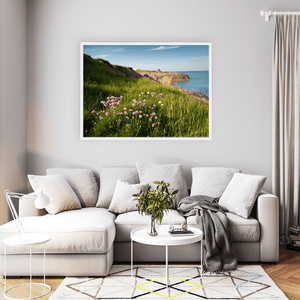Nua Photography Print Sea Thrift Wildflowers on Portrane Coastal Cliffs, Co. Dublin Sea Thrift Portrane Cliffs Print | Nua Photography