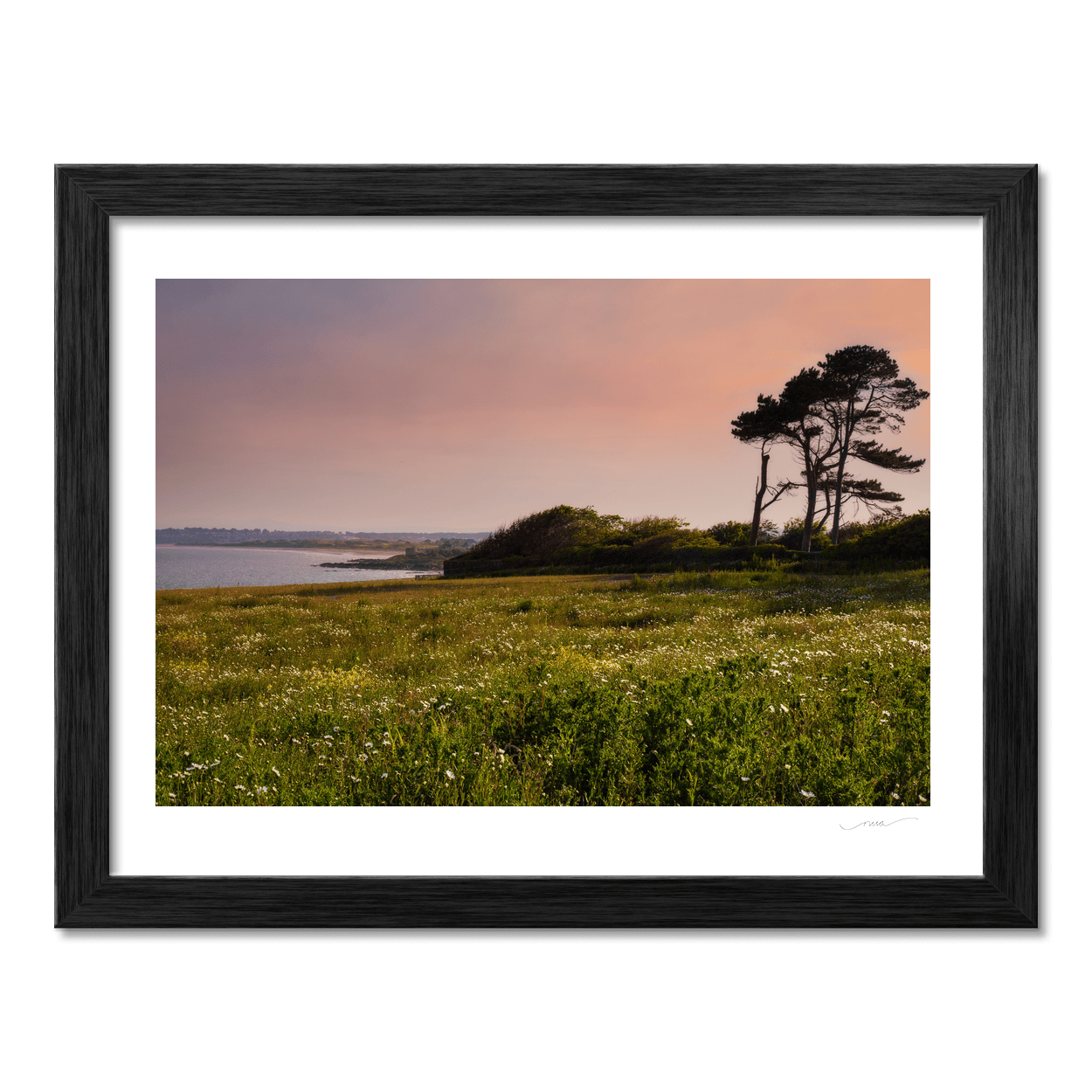 Nua Photography Print Portrane Wildflower Meadow at Sunset, Co. Dublin Portrane Wildflower Meadow Sunset Print | Nua Photography