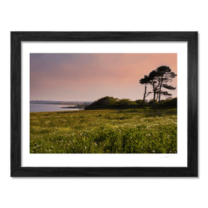 Nua Photography Print Portrane Wildflower Meadow at Sunset, Co. Dublin Portrane Wildflower Meadow Sunset Print | Nua Photography