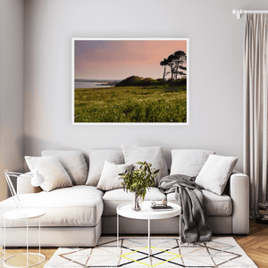 Nua Photography Print Portrane Wildflower Meadow at Sunset, Co. Dublin Portrane Wildflower Meadow Sunset Print | Nua Photography