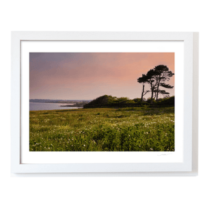 Nua Photography Print Portrane Wildflower Meadow at Sunset, Co. Dublin Portrane Wildflower Meadow Sunset Print | Nua Photography