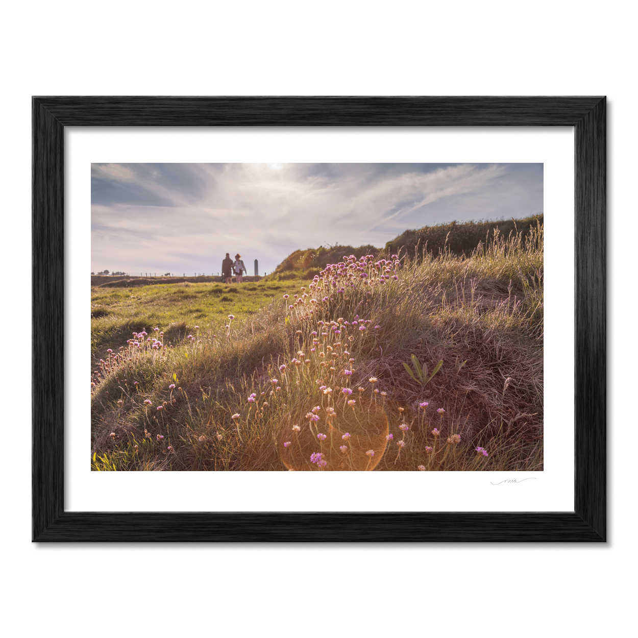 Nua Photography Print Portrane Sea Thrift Wildflowers at Golden Hour, Co. Dublin Portrane Wildflowers Golden Hour Print | Nua Photography