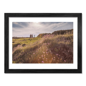 Nua Photography Print Portrane Sea Thrift Wildflowers at Golden Hour, Co. Dublin Portrane Wildflowers Golden Hour Print | Nua Photography