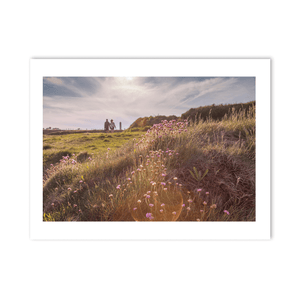 Nua Photography Print Portrane Sea Thrift Wildflowers at Golden Hour, Co. Dublin Portrane Wildflowers Golden Hour Print | Nua Photography