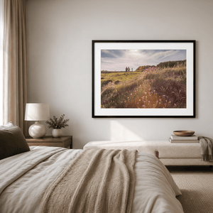 Nua Photography Print Portrane Sea Thrift Wildflowers at Golden Hour, Co. Dublin Portrane Wildflowers Golden Hour Print | Nua Photography