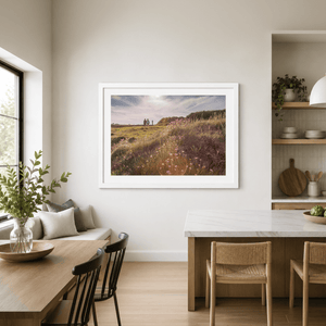 Nua Photography Print Portrane Sea Thrift Wildflowers at Golden Hour, Co. Dublin Portrane Wildflowers Golden Hour Print | Nua Photography
