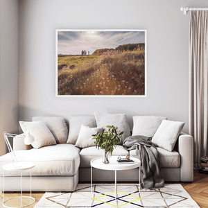 Nua Photography Print Portrane Sea Thrift Wildflowers at Golden Hour, Co. Dublin Portrane Wildflowers Golden Hour Print | Nua Photography