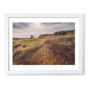 Nua Photography Print Portrane Sea Thrift Wildflowers at Golden Hour, Co. Dublin Portrane Wildflowers Golden Hour Print | Nua Photography