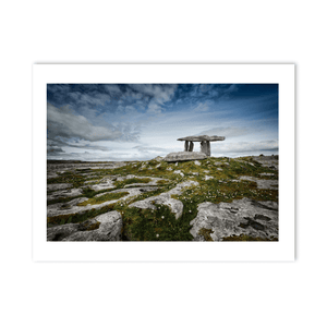 poulnabrone-dolmen-burren-wildflowers PM