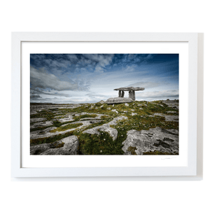 poulnabrone-dolmen-burren-wildflowers WF
