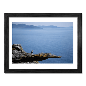 puffin-on-rocky-cliff-skellig-kerry BF