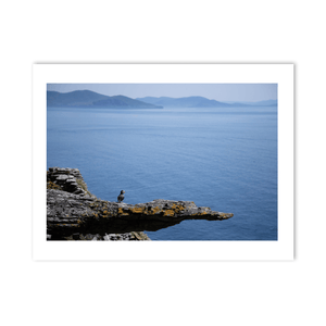 puffin-on-rocky-cliff-skellig-kerry PM
