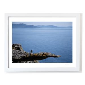 puffin-on-rocky-cliff-skellig-kerry WF