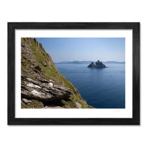 Nua Photography Print Puffin on Skellig Michael with Little Skellig View, Co. Kerry (5) (2) Puffin on Skellig Michael, Co. Kerry | Nua Photography