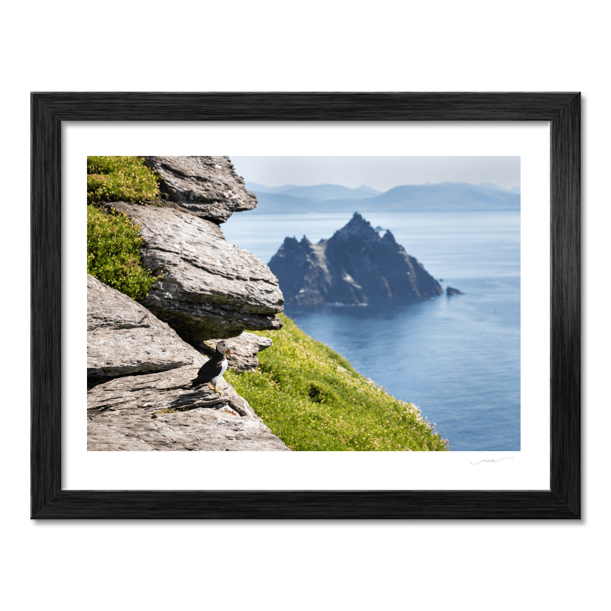 puffin-skellig-michael-little-skellig-view-2 PM