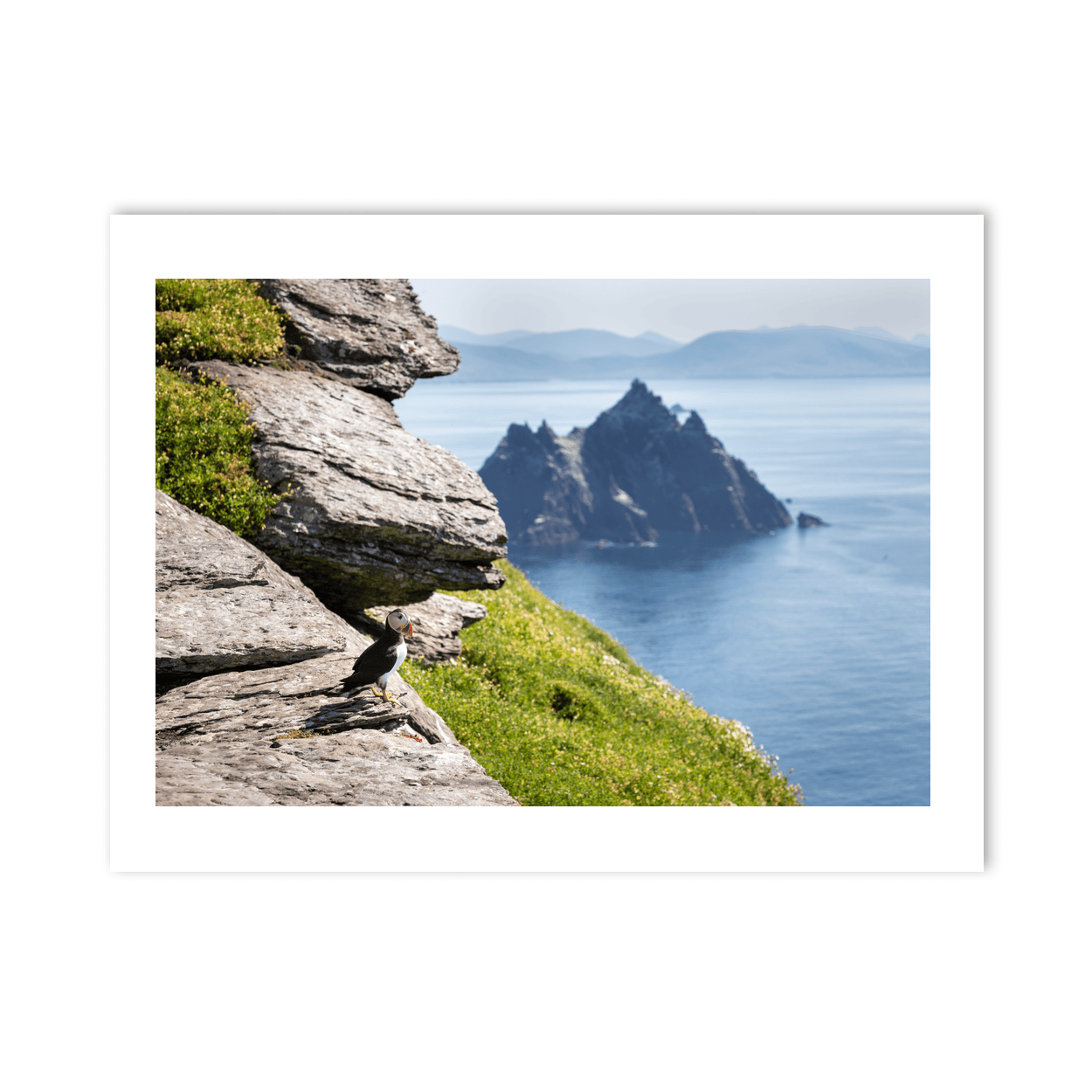 puffin-skellig-michael-little-skellig-view-2 PM